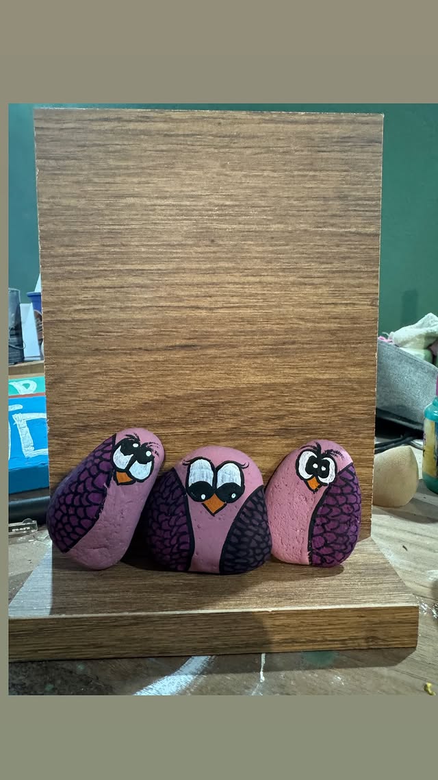Decoração com corujas em pedras pintadas